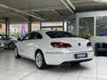 Volkswagen Passat CC 2.0TDI 4Motion Standheiz.Navi BiXenon Alb - thumbnail 4