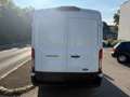 Ford Transit Transit Kasten 2,0 EcoBlue L3H2 350 Trend Weiß - thumbnail 5