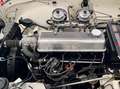 Triumph TR4 vollständig Restauriert Weiß - thumbnail 9