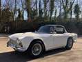 Triumph TR4 vollständig Restauriert Weiß - thumbnail 1