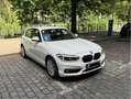 BMW 118 1er (5-Türer) 118i Aut. Sport Line Weiß - thumbnail 5