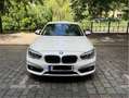 BMW 118 1er (5-Türer) 118i Aut. Sport Line Weiß - thumbnail 4