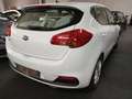 Kia Ceed / cee'd AHK TUV AU NEU GW. GARANTIE Blanco - thumbnail 12