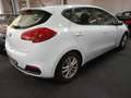 Kia Ceed / cee'd AHK TUV AU NEU GW. GARANTIE Blanco - thumbnail 11
