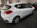 Kia Ceed / cee'd AHK TUV AU NEU GW. GARANTIE Blanco - thumbnail 4