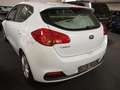 Kia Ceed / cee'd AHK TUV AU NEU GW. GARANTIE Blanco - thumbnail 14