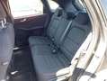 Ford Kuga 2.5 Duratec 190ch FHEV E85 ST-Line BVA Grau - thumbnail 12