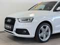 Audi Q3 2,0 TDI quattro S-Line S-tronic Weiß - thumbnail 6
