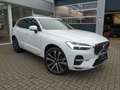 Volvo XC60 Plus T6 AWD Plug-in Hybrid/360°/FourC/AHK Weiß - thumbnail 5