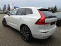 Volvo XC60 Plus T6 AWD Plug-in Hybrid/360°/FourC/AHK Weiß - thumbnail 4
