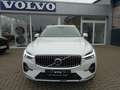 Volvo XC60 Plus T6 AWD Plug-in Hybrid/360°/FourC/AHK Weiß - thumbnail 7