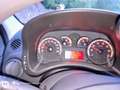 Fiat Panda 1.2 Climbing 4x4 69cv E5 - thumbnail 1