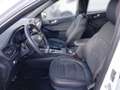 Ford Kuga KUGA ST-Line 2,0 EcoBlue 4WD Weiß - thumbnail 8