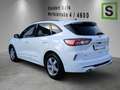 Ford Kuga KUGA ST-Line 2,0 EcoBlue 4WD Weiß - thumbnail 2