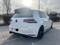 Volkswagen Golf GTI Golf GTI 2,0 TSI DSG Clubsport GTI Clubsport Weiß - thumbnail 6