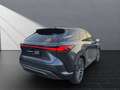 Lexus RX 350h 350 h 4x4 Executive Line Pano. Tech-Pake Grau - thumbnail 5