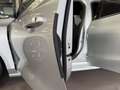 Ford Focus Turnier ST-Line X ACC AHK Head Up Winter-P Zilver - thumbnail 12