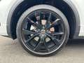 Volkswagen T-Roc R-Line 2.0 TSI 4M DSG / Pano, Matrix, AHK Blanc - thumbnail 8