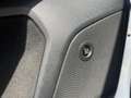 Ford Focus 2.0 EcoBlue 150ch Vignale BVA Weiß - thumbnail 20