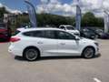 Ford Focus 2.0 EcoBlue 150ch Vignale BVA Weiß - thumbnail 4