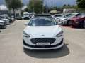 Ford Focus 2.0 EcoBlue 150ch Vignale BVA Weiß - thumbnail 2