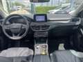 Ford Focus 2.0 EcoBlue 150ch Vignale BVA Weiß - thumbnail 14