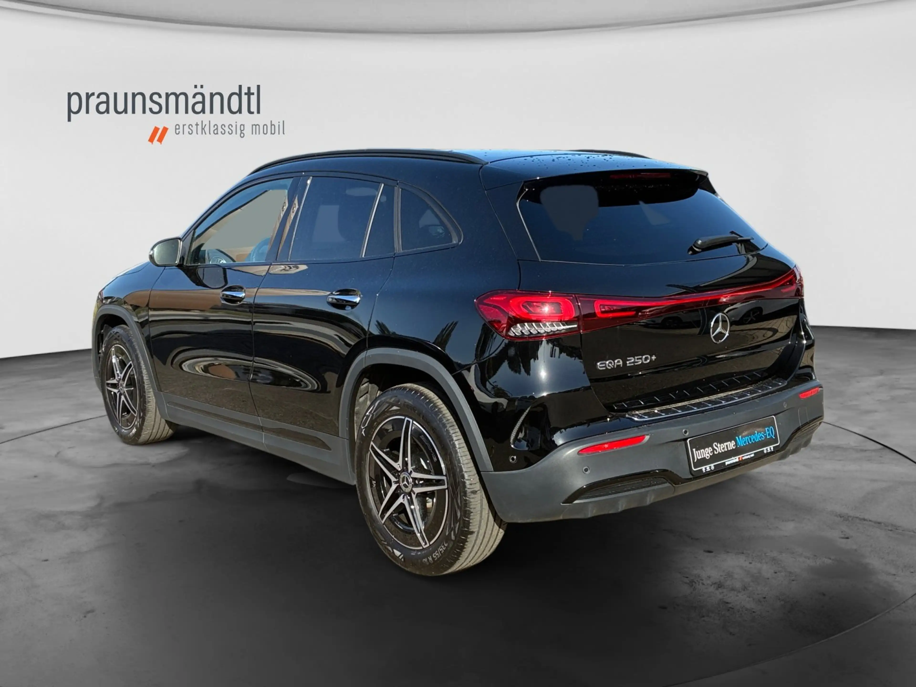 Mercedes-Benz EQA 250 + AMG Line+Distr+Burmester+LED+Keyl+Night — photo 2