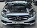 Mercedes-Benz E 350 d T Avantgarde Aut. Grau - thumbnail 16