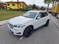BMW X5 xdrive30d business Bianco - thumbnail 8