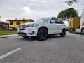 BMW X5 xdrive30d business Bianco - thumbnail 1