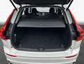 Volvo XC60 XC60 B5 B AWD Plus Dark Weiß - thumbnail 7