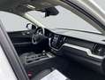 Volvo XC60 XC60 B5 B AWD Plus Dark Weiß - thumbnail 11