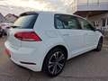 Volkswagen Golf 1,0 TSI Bianco - thumbnail 6