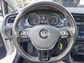 Volkswagen Golf 1,0 TSI Bianco - thumbnail 12