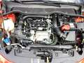 Ford Fiesta 1.0 EcoBoost S&S TITANIUM PDC vo.+hi. LED Klima Rot - thumbnail 15