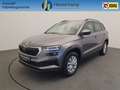 Skoda Karoq 1.0 TSI Business Edition Camera, Winterpakket Grijs - thumbnail 1