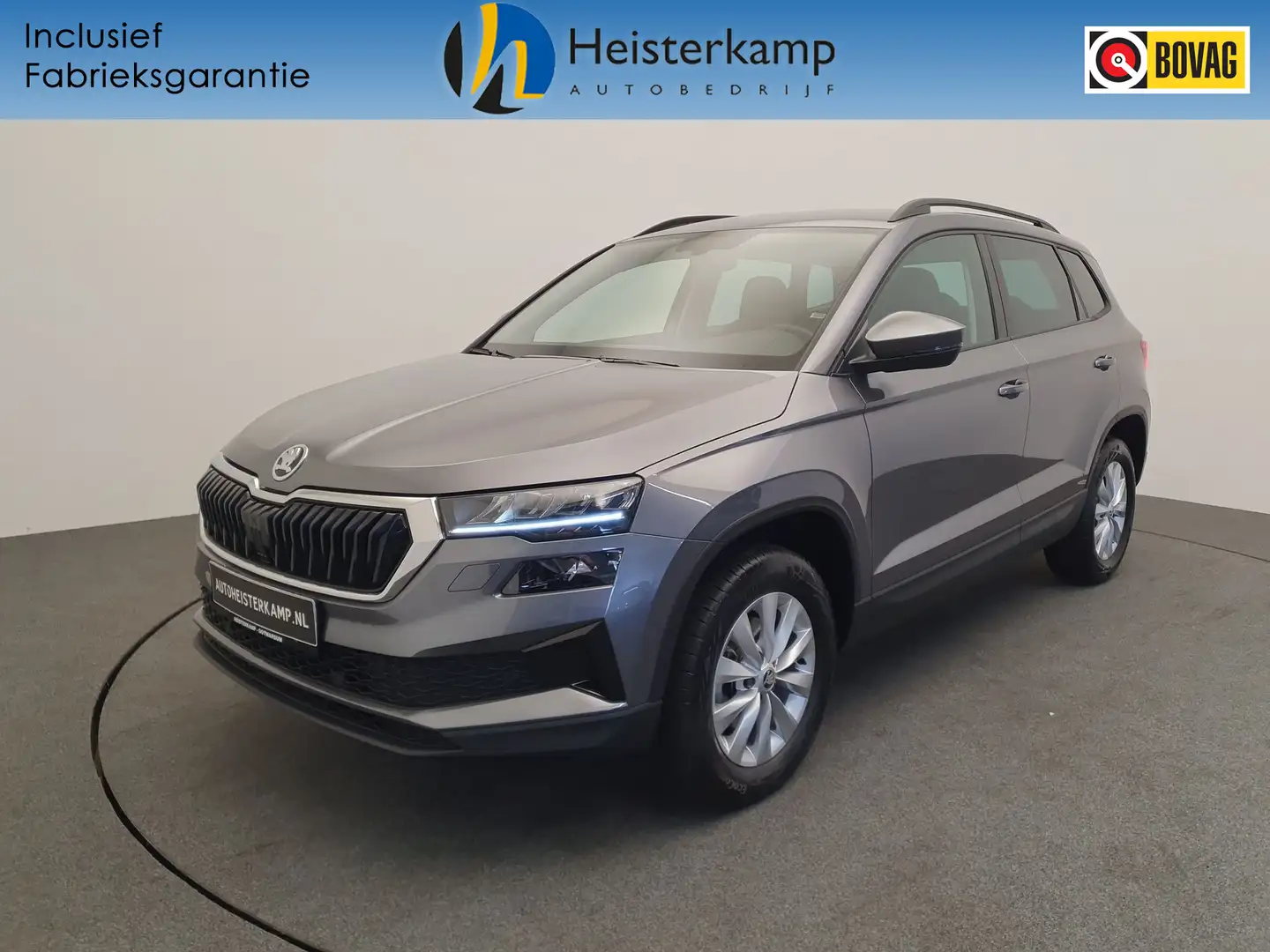 Skoda Karoq 1.0 TSI Business Edition Camera, Winterpakket Grijs - 1