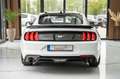 Ford Mustang 2.3 TURBO 20 ZOLL PREMIUM GT500 SHELBY Weiß - thumbnail 7