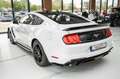 Ford Mustang 2.3 TURBO 20 ZOLL PREMIUM GT500 SHELBY Weiß - thumbnail 4