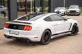 Ford Mustang 2.3 TURBO 20 ZOLL PREMIUM GT500 SHELBY Weiß - thumbnail 13