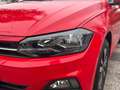 Volkswagen Polo 1.0 EVO 80 CV 5p. Comfortline BlueMotion Technolog Rosso - thumbnail 5