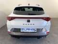 CUPRA Formentor 1.5 TSI DSG OPF LED*ACC*RFK 110 kW (150 PS), Au... Weiß - thumbnail 24