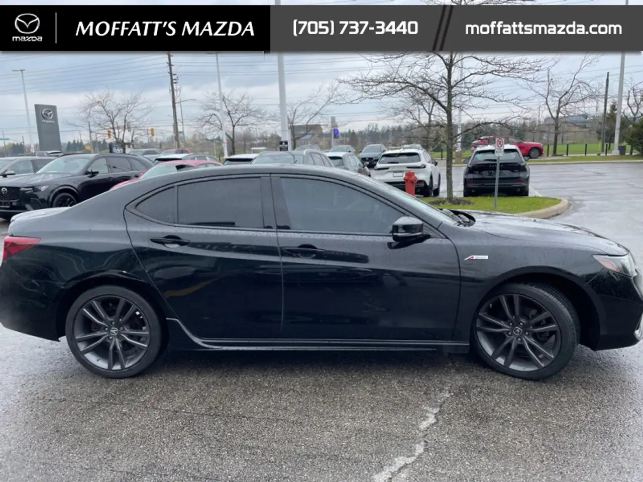 Acura TLX снимка Acura TLX