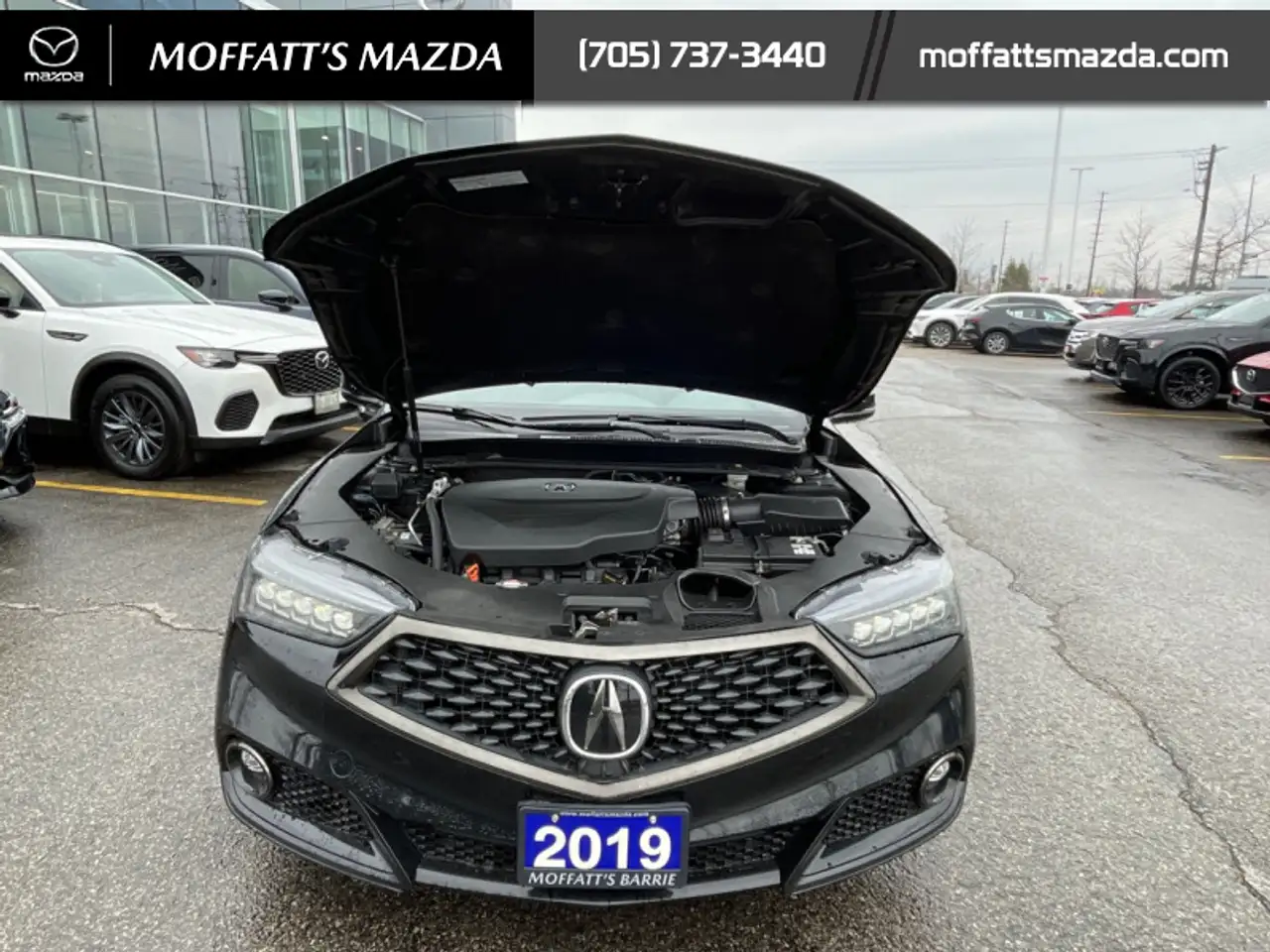 Acura TLX снимка Acura TLX