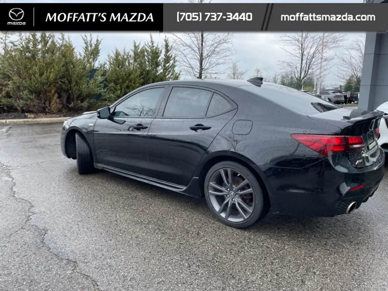 Acura TLX снимка Acura TLX
