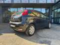 Fiat Punto Punto III 2012 5p 1.2 Lounge E6 Nero - thumbnail 4