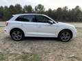 Audi Q5 40 TDI Black line quattro-ultra S tronic 140kW Blanco - thumbnail 7