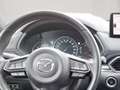 Mazda CX-5 CD184 AWD Homura Plus/SD Aut. Grau - thumbnail 19