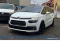 Citroen Grand C4 SpaceTourer Shin*F+R-Cam*Car-P*Massage Weiß - thumbnail 4