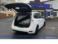 Citroen Grand C4 SpaceTourer Shin*F+R-Cam*Car-P*Massage Weiß - thumbnail 11